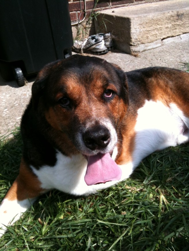 Last Day with Lambeau